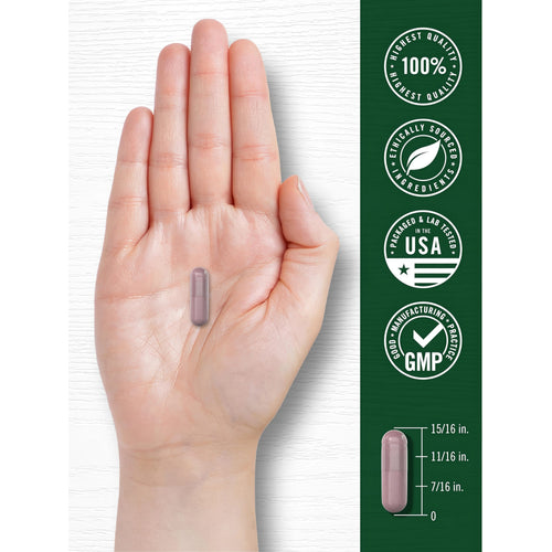 View 7 Infographic stating the product's highest quality at 100%, ethically sourced, USA packaged, lab tested, GMP. Capsule is 15/16 inch.