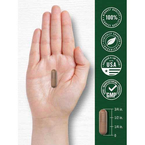 View 7 Pycnogenol 100mg per serving | 30 Capsules