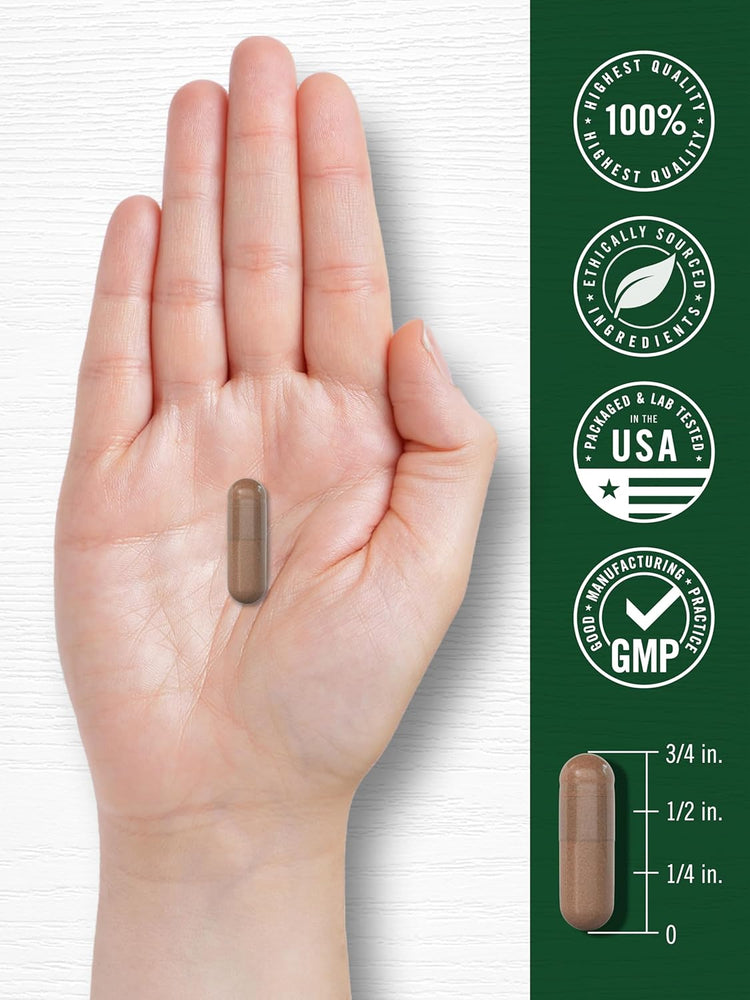 Pycnogenol 100mg per serving | 30 Capsules