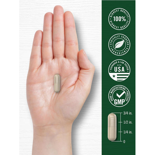 View 7 Feverfew capsule, 3/4 inch long, displaying badges: 100% Quality, Ethically Sourced, Lab Tested USA, GMP certified.