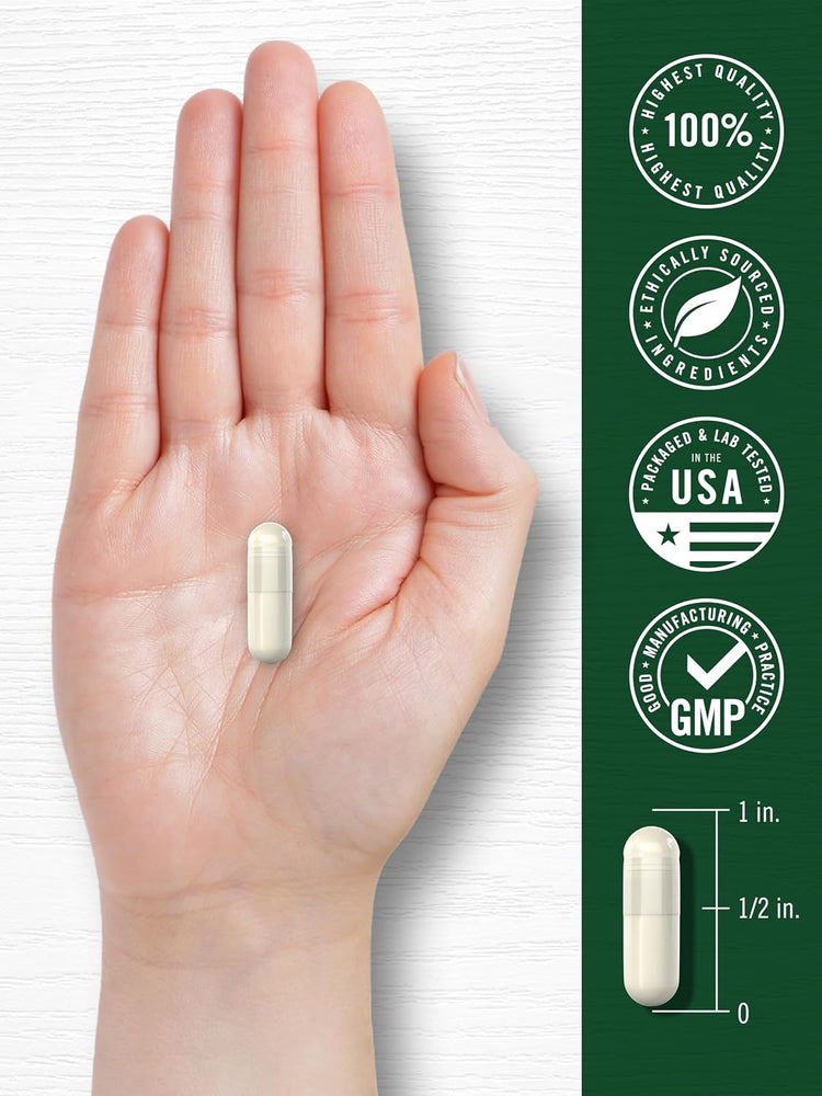 A light beige capsule rests in a hand, with a graphic indicating the capsule is 1 inch long.