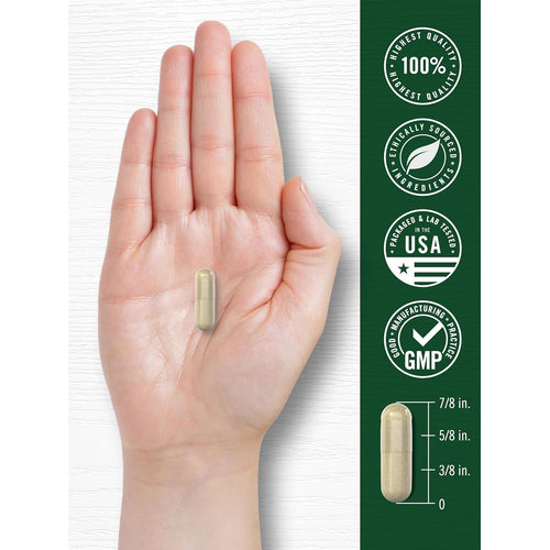 View 7 Leg Vein Support | 180 Capsules