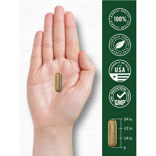 View 7 Carlyle Dandelion Root 1800 mg, 3/4 inch capsule held in a hand, representing supplement size.