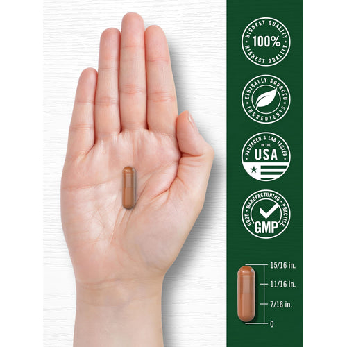 View 7 A 15/16 inch brown oblong Carlyle EGCG Green Tea Extract capsule is shown resting on a hand.