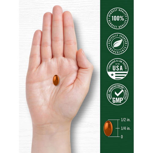 View 7 Odorless Garlic & Cayenne 1150 mg softgel in a hand, measuring half an inch long and a quarter inch wide.