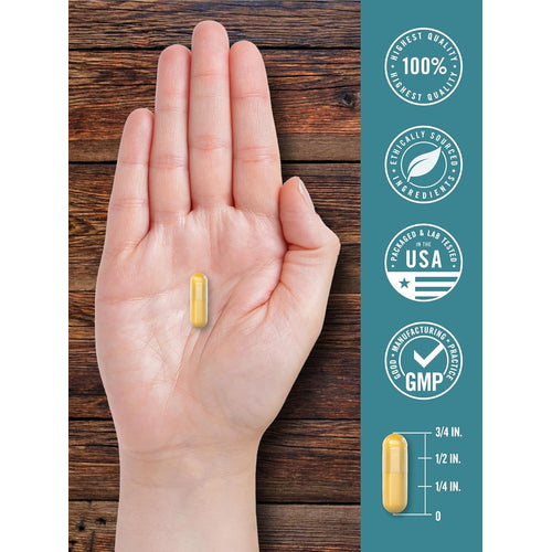 View 7 Bile de Boi 500mg | 60 Cápsulas