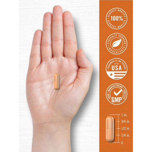View 7 Kurkuma-Curcumin-Komplex | 180 Kapseln