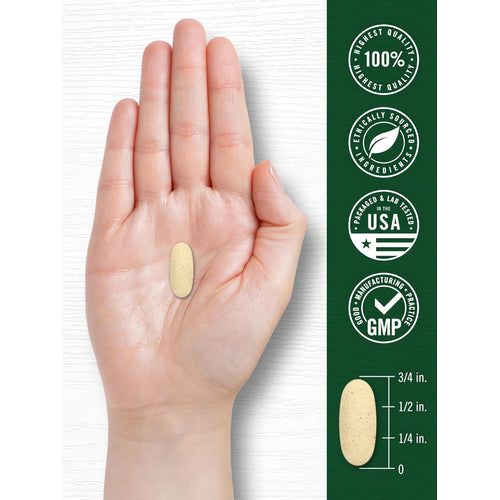 View 7 A single light-colored CL Carlyle KSM Ashwagandha 600 mg caplet, 3/4 inch long, rests in the palm of a hand.