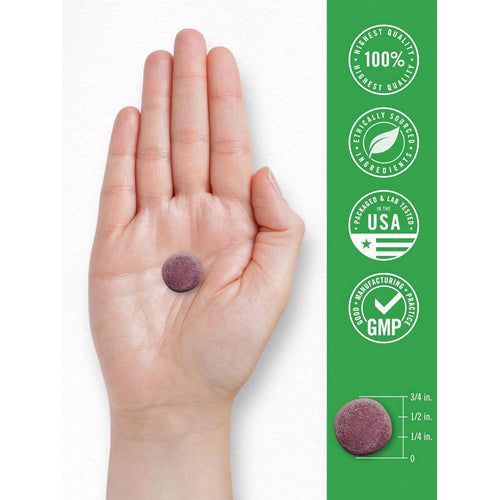 View 7 A single CL Lil Sprouts Magnesium Berry gummy in a hand; measures 3/4 inch in diameter and 1/4 inch in height.