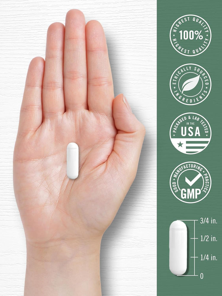 Devil's Claw 2000mg per serving | 200 Capsules