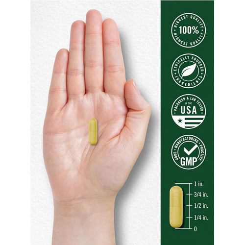 View 7 A hand holding a capsule, measuring 1 inch long.