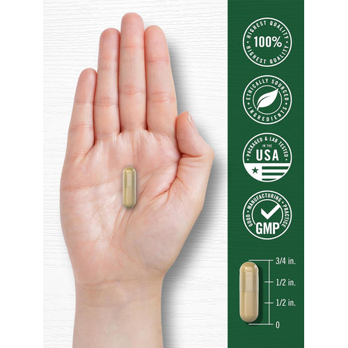 View 7 Mucuna com Ashwagandha | 250 Cápsulas