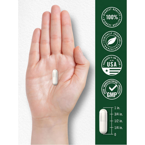 View 7 Royal Jelly | 120 Capsules