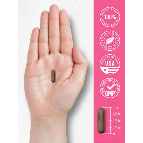 View 7 A brown capsule in a hand, about 3/4 inch tall, with an adjacent scale for size comparison.