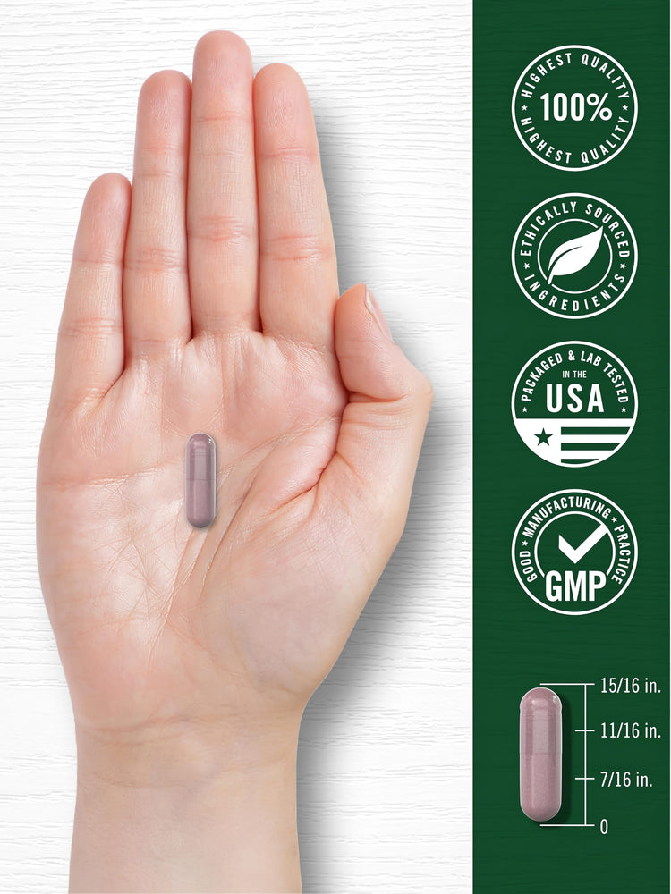 A hand holds a cranberry capsule measuring approximately 15/16 inches in length.