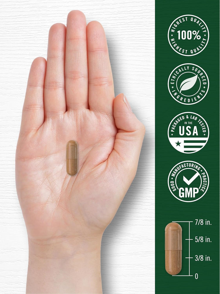 Mango Africano | 80 Cápsulas