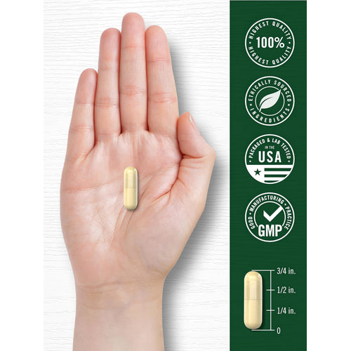 View 7 A hand holds a light yellow capsule, with a graphic indicating the capsule measures three-fourths of an inch long.