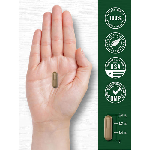 View 7 Noni 3000mg capsule in hand. Features: 100% highest quality, ethically sourced, lab-tested USA, GMP. Capsule is 3/4 inch.