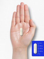Load image into Gallery viewer, B-100 Complex | 250 Capsules
