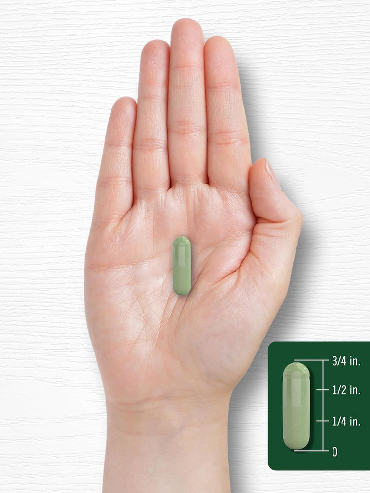 Moringa Oleifera 6000 mg per porzione | 180 Capsule