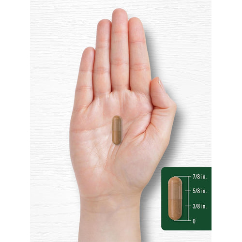 View 8 African Mango | 80 Capsules