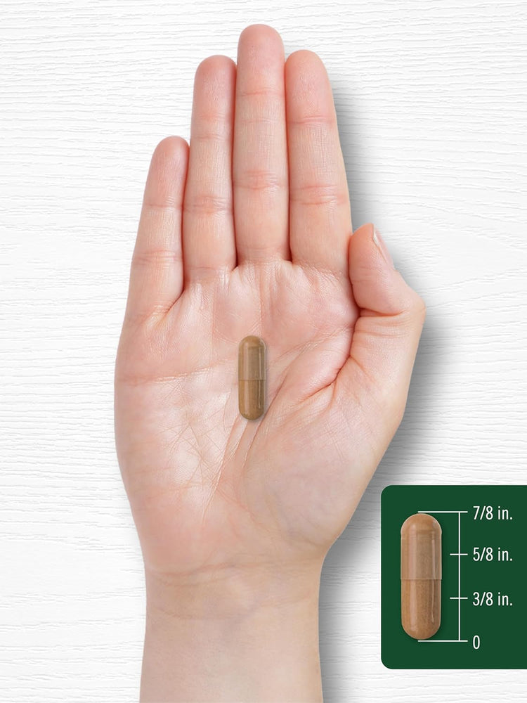 Mango Africano | 80 Cápsulas