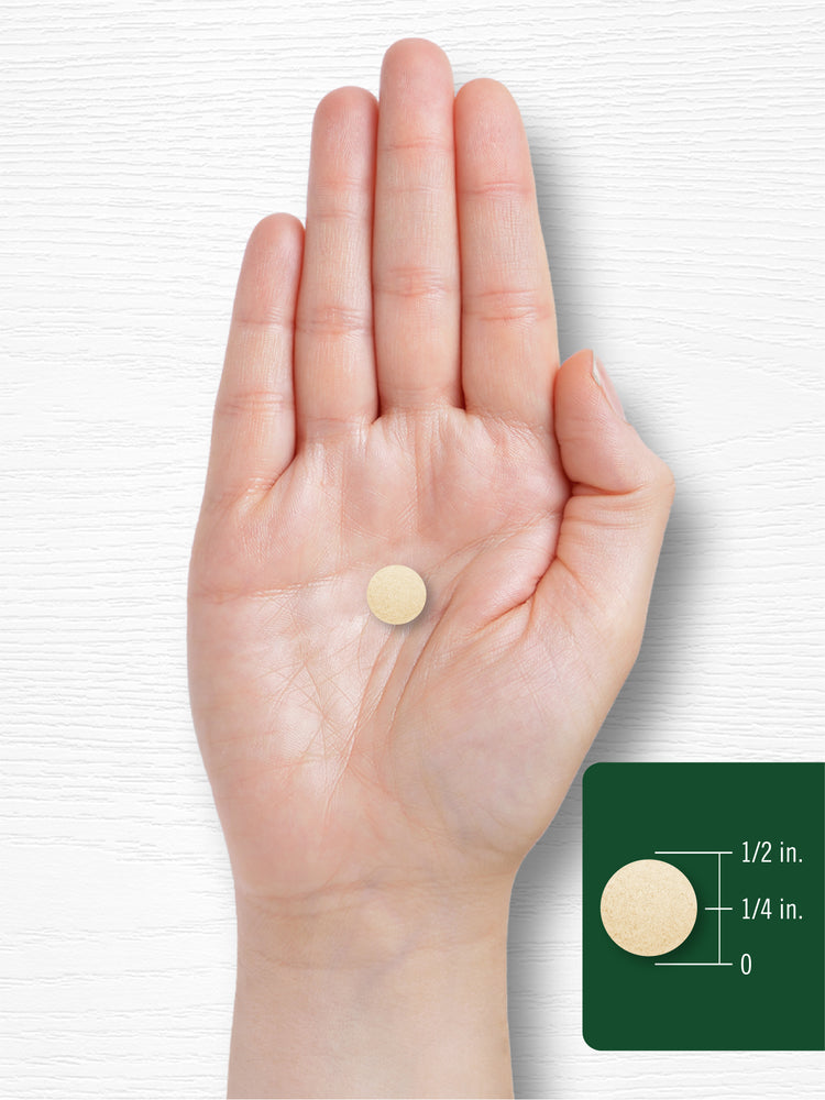 Brewer’s Yeast tablet shown in hand for size reference, measuring approximately 1/4 in.