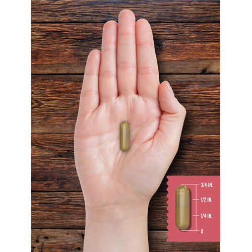 View 13 Capsule shown in hand for size reference, measuring approximately 3/4 in.