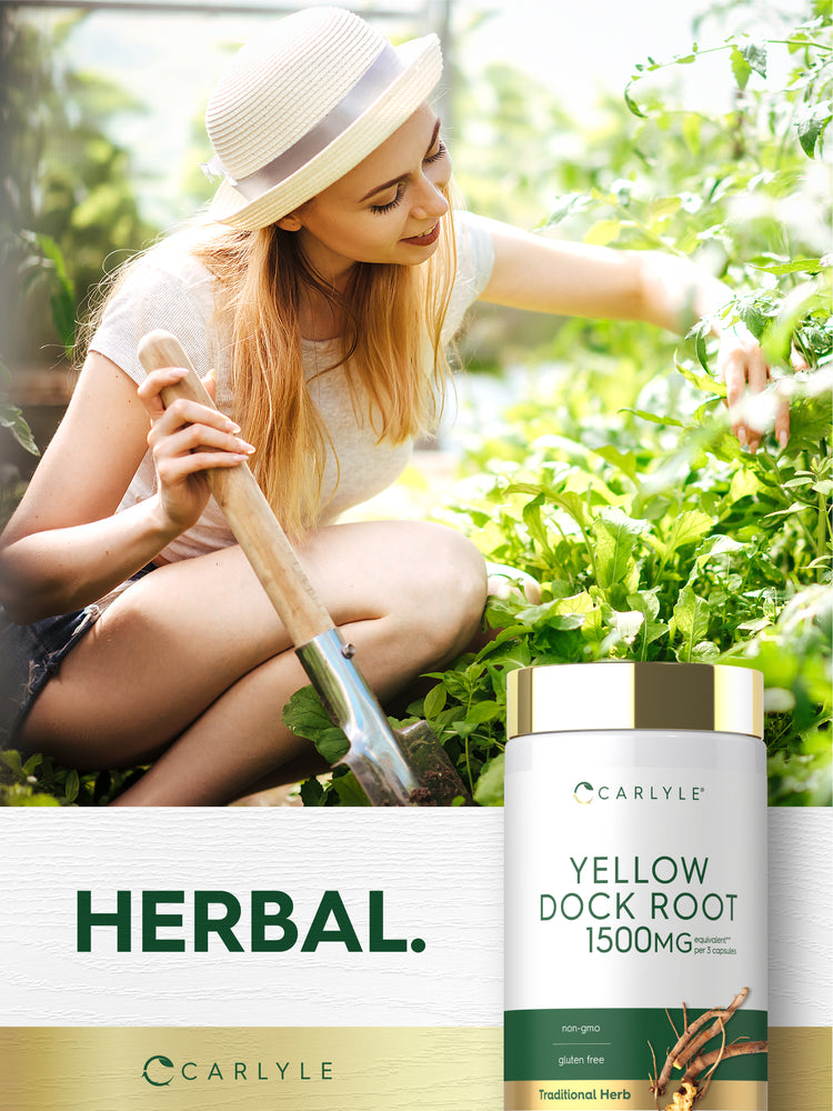 Lifestyle image of woman gardening with Carlyle Yellow Dock Root 1500 mg bottle and graphic stating HERBAL.