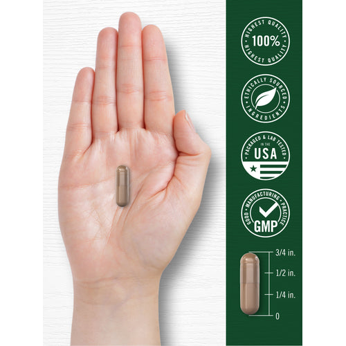 View 4 measuring 3/4 in., with quality badges stating Finest Quality 100%, Ethically Sourced Ingredients, Packaged & Lab Tested USA, and Good Manufacturing Practice GMP