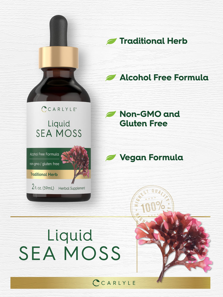 Graphic showing Carlyle Liquid Sea Moss with callouts stating Traditional Herb, Alcohol Free Formula, Non-GMO and Gluten Free, Vegan Formula, and Finest Quality 100%