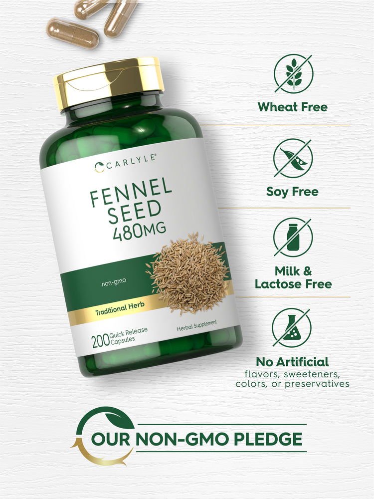 Carlyle Fennel Seed 480MG bottle with icons indicating Wheat Free, Soy Free, Milk & Lactose Free, No Artificial flavors, sweeteners, colors, or preservatives, and Our Non-GMO Pledge