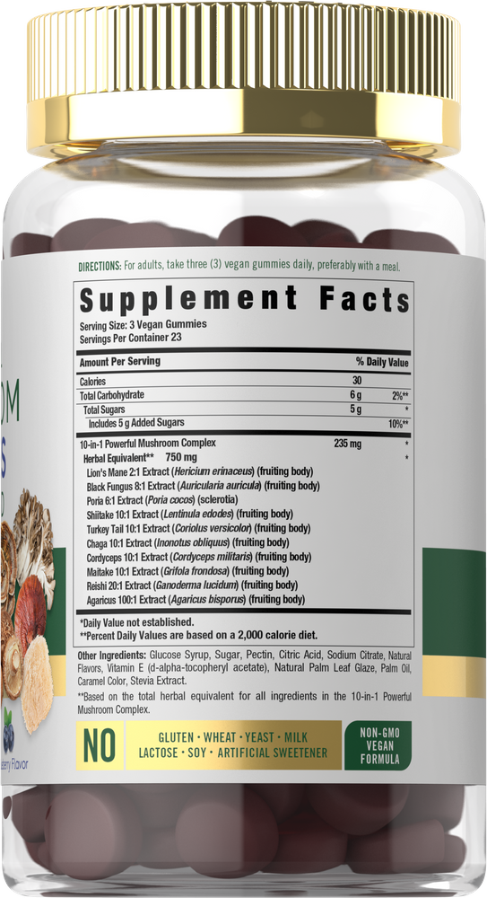 Mushroom Supplement | 70 Gummies