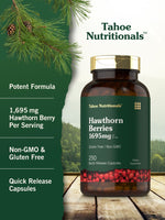 Load image into Gallery viewer, Hawthorn Berry | 1695mg | 250 Capsules
