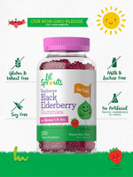 Load image into Gallery viewer, Elderberry Gummies for Kids with Zinc and Vitamin C | 120 Gummies
