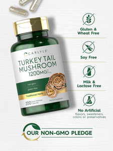 Turkey Tail Mushroom 1200mg | 200 Capsules