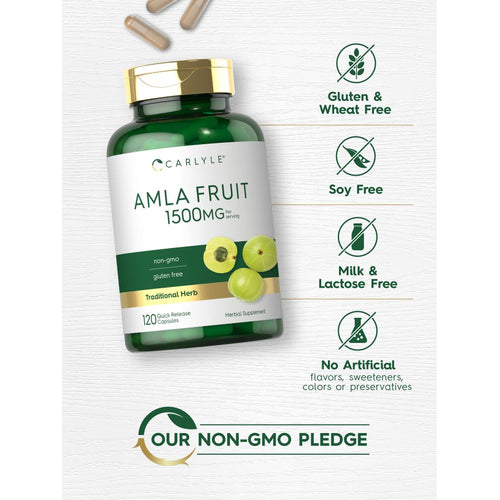 View 4 Fruta de Amla 1500mg por porción | 120 Cápsulas