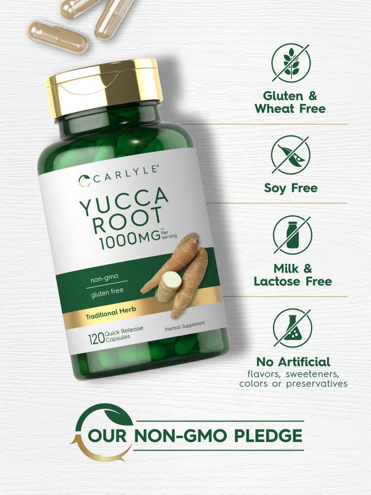 Racine de Yucca 1000mg par portion | 120 Capsules