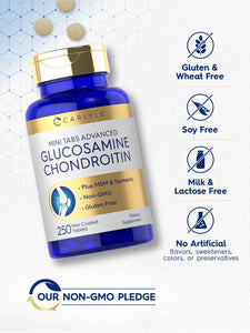 Glucosamine Chondroitin MSM Turmeric | 250 Mini Tablets