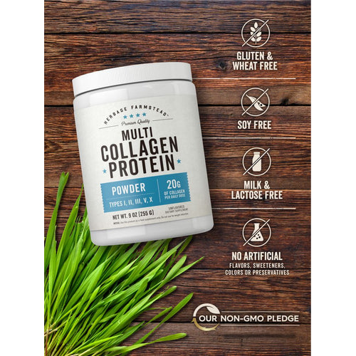View 4 Proteína de Colágeno Múltiple | Polvo de 9oz