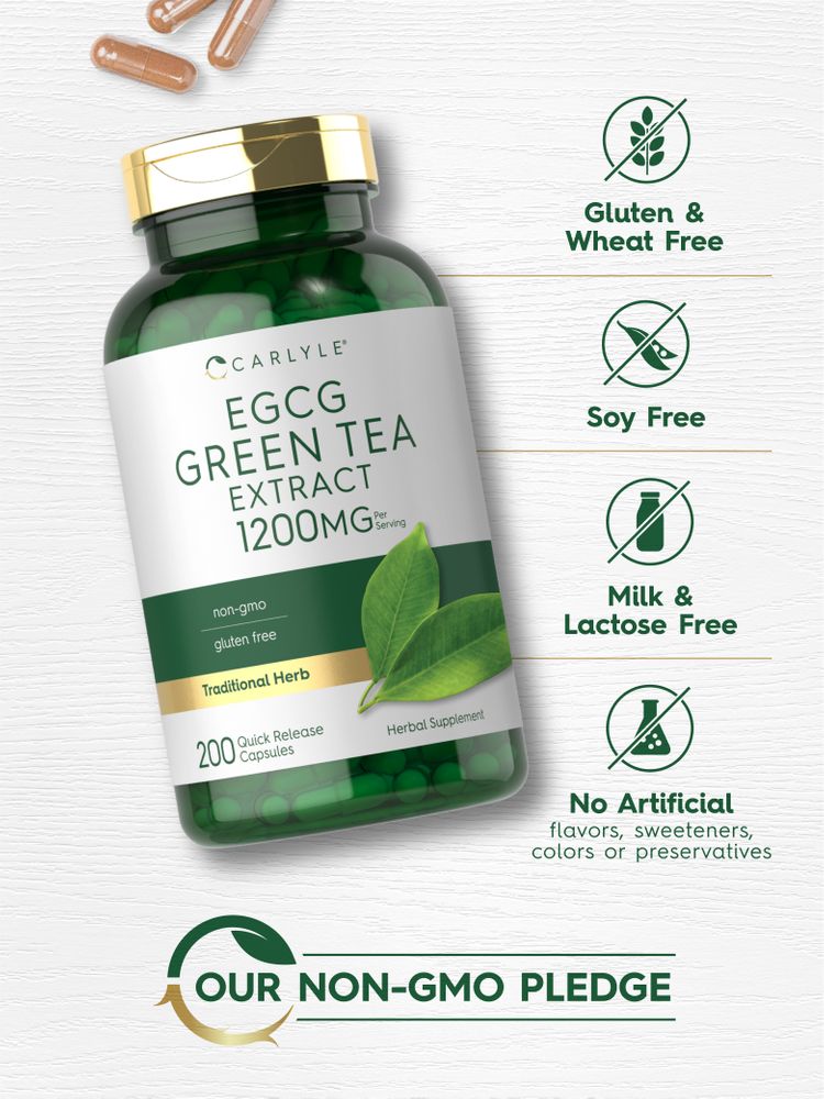 Extrait de Thé Vert EGCG 1200mg par portion | 200 Capsules