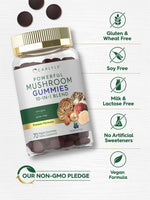 Load image into Gallery viewer, Mushroom Supplement | 70 Gummies
