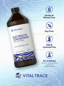 Electrolyte Concentrate | 16oz