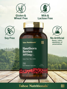 Hawthorn Berry | 1695mg | 250 Capsules