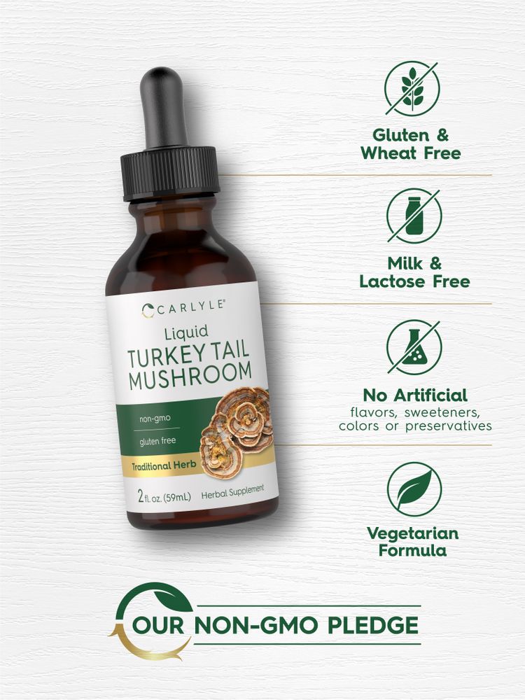 Turkey Tail Mushroom | 2oz Liquid