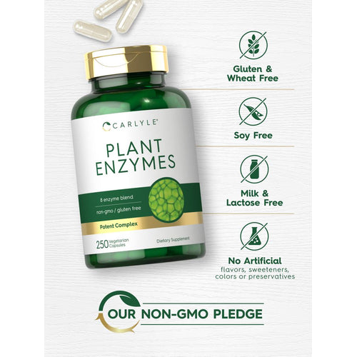 View 5 Plant Enzymes | 250 Capsules
