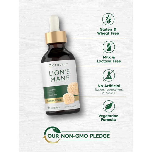 View 5 Crinière de Lion | 2oz Liquide