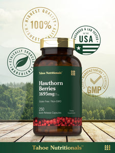 Hawthorn Berry | 1695mg | 250 Capsules