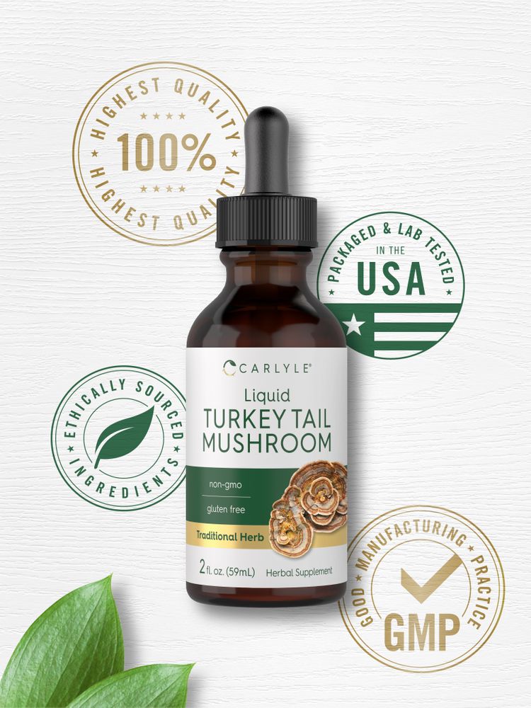 Turkey Tail Mushroom | 2oz Liquid