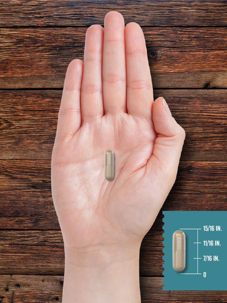 Ox Bile 500mg | 60 Capsules